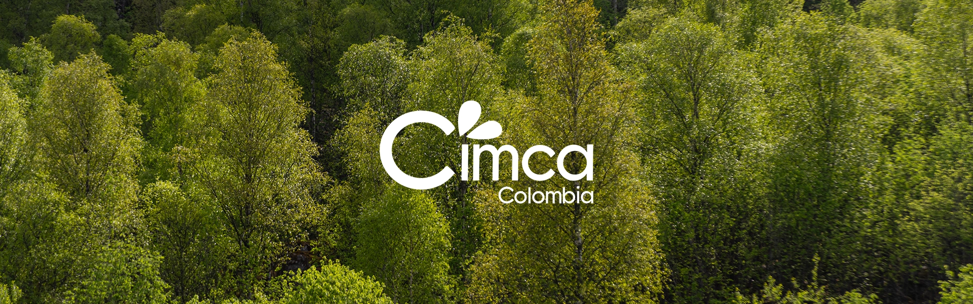 Cimca Colombia